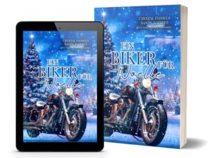 Ein Biker für Noelle