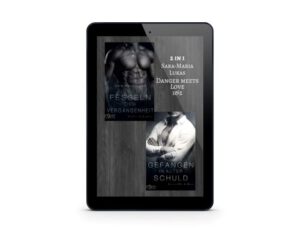 Danger meets Love (eBook-Bundle)